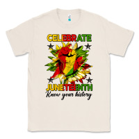 Natural celebrate juneteenth know your history Classic Tee - HRA Design Shop