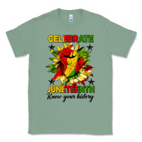Sage celebrate juneteenth know your history Classic Tee - HRA Design Shop