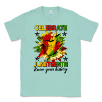 Seafoam celebrate juneteenth know your history Classic Tee - HRA Design Shop