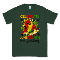 Sports Green celebrate juneteenth know your history Classic Tee - HRA Design Shop