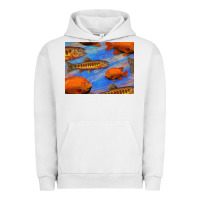 Pigment Lunar Rock California Golden Trout Garibaldi Fish Background Urban Hoodie - Bettercallsaul