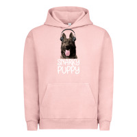 Pigment Salmon Snarky Puppy Urban Hoodie - Bettercallsaul