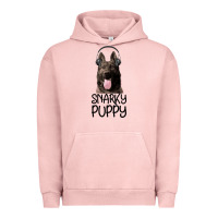 Pigment Salmon Snarky Puppy Urban Hoodie - Bettercallsaul