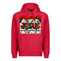 Cardinal jesus the reason for the season Premium Hoodie - MaliasSmallBusiness
