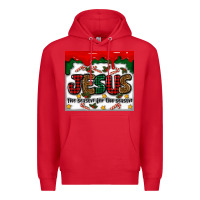 Jesus The Reason For The Season Premium Hoodie | Teevron