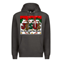 Smoke jesus the reason for the season Premium Hoodie - MaliasSmallBusiness