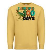 I Survived 100 Days Premium Sweatshirt | Teevron