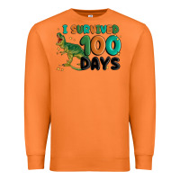 Carrot i survived 100 days Premium Sweatshirt - MaliasSmallBusiness