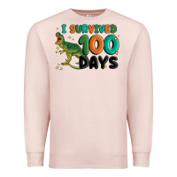 Pale Pink i survived 100 days Premium Sweatshirt - MaliasSmallBusiness