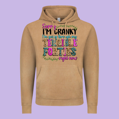 Vintage Hoodie sorry im cranky im going through my terrible forti