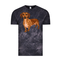 Cloud Black dachshund Vintage Tee - RanaPortraitStore
