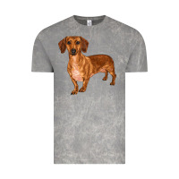 Cloud Rock dachshund Vintage Tee - RanaPortraitStore