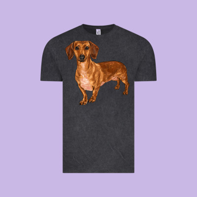 Dachshund Vintage Tee Designed By Ranaportraitstore