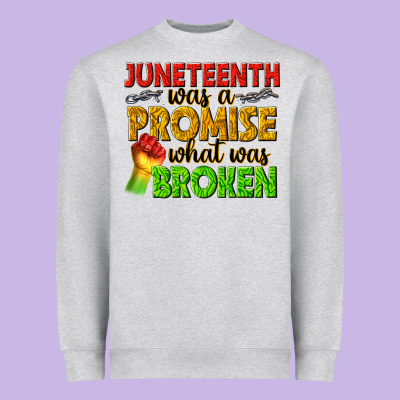 Heavyweight Sweatshirt juneteenth was a promise what was broken