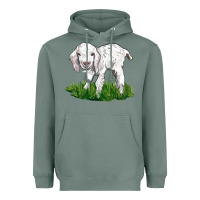 Sage Baby Angora Goat Heavyweight Hoodie - LillyAllenDesigns