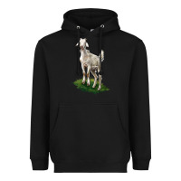 Black Kiko Goat Heavyweight Hoodie - LillyAllenDesigns