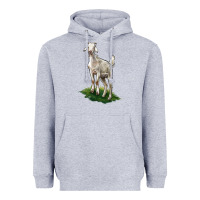 Heather Grey Kiko Goat Heavyweight Hoodie - LillyAllenDesigns