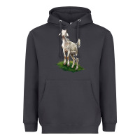 Smoke Kiko Goat Heavyweight Hoodie - LillyAllenDesigns