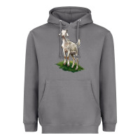Storm Kiko Goat Heavyweight Hoodie - LillyAllenDesigns
