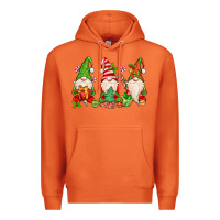 Carrot christmas gnomes Premium Hoodie - MaliasSmallBusiness
