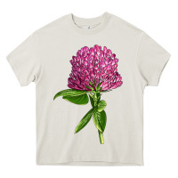 Cream Red Clover Illustrations Heavy Core Tee - LillyAllenDesigns