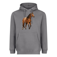 Storm Quarter Horse Heavyweight Hoodie - LillyAllenDesigns