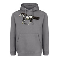 Storm American Paint Horse Heavyweight Hoodie - LillyAllenDesigns
