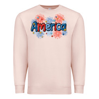 Pale Pink America Premium Sweatshirt - MaliasSmallBusiness