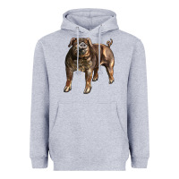 Heather Grey Duroc Pig Heavyweight Hoodie - LillyAllenDesigns