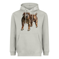 Moon Dust Duroc Pig Heavyweight Hoodie - LillyAllenDesigns