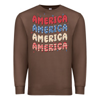 Chestnut america Premium Sweatshirt - MaliasSmallBusiness