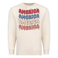 Sandshell america Premium Sweatshirt - MaliasSmallBusiness