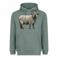 Sage hampshire sheep Heavyweight Hoodie - LillyAllenDesigns