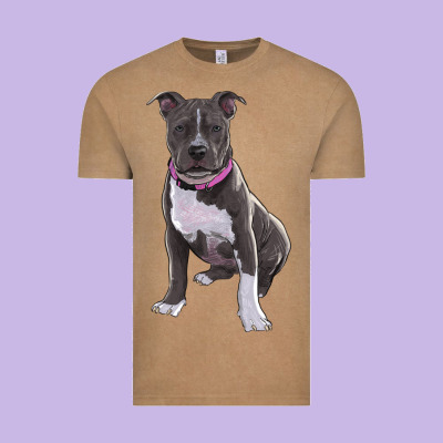 Pitbull Vintage Tee Designed By Ranaportraitstore