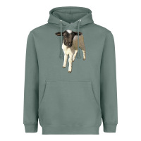 Sage dorper baby sheep Heavyweight Hoodie - LillyAllenDesigns