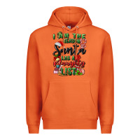I Am The Reason Santa Has A Naughty List Premium Hoodie | Teevron