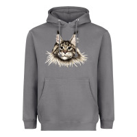 Storm Maine Coon Cat Face Heavyweight Hoodie - LillyAllenDesigns