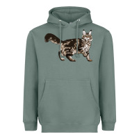Sage Maine Coon Cat Heavyweight Hoodie - LillyAllenDesigns
