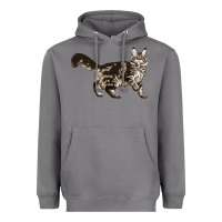 Storm Maine Coon Cat Heavyweight Hoodie - LillyAllenDesigns
