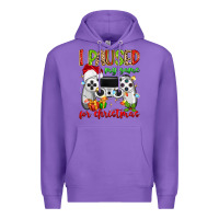 Purple i paused my game for christmas Premium Hoodie - MaliasSmallBusiness