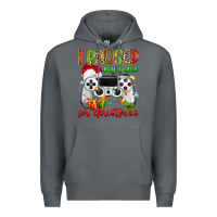 Rock i paused my game for christmas Premium Hoodie - MaliasSmallBusiness