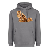 Storm Persian Cat Heavyweight Hoodie - LillyAllenDesigns
