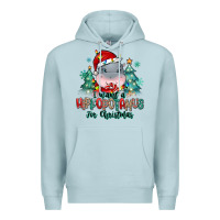 Blue Mist i want a hippopotamus for christmas Premium Hoodie - MaliasSmallBusiness