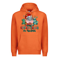 Carrot i want a hippopotamus for christmas Premium Hoodie - MaliasSmallBusiness