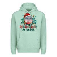 Seafoam i want a hippopotamus for christmas Premium Hoodie - MaliasSmallBusiness