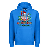 True Royal i want a hippopotamus for christmas Premium Hoodie - MaliasSmallBusiness