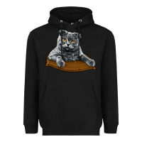 Black Scottish Fold Heavyweight Hoodie - LillyAllenDesigns