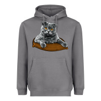 Storm Scottish Fold Heavyweight Hoodie - LillyAllenDesigns
