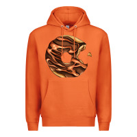 Carrot chocolate donut Premium Hoodie - AdoDesignShop