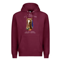 Burgundy I met lil Sebastian Premium Hoodie - Bettercallsaul